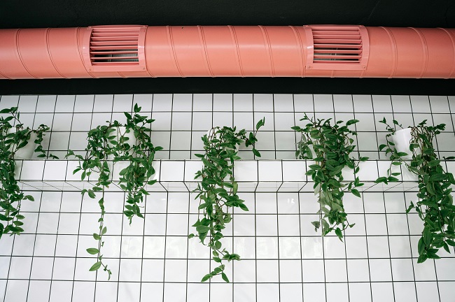 Ventilation & Air Filtration Systems